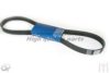 ASHUKI VM7-1145 V-Ribbed Belts